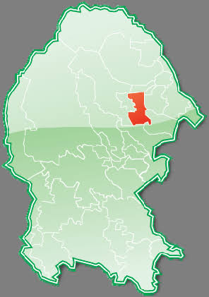Mapa de Coahuila con una región resaltada